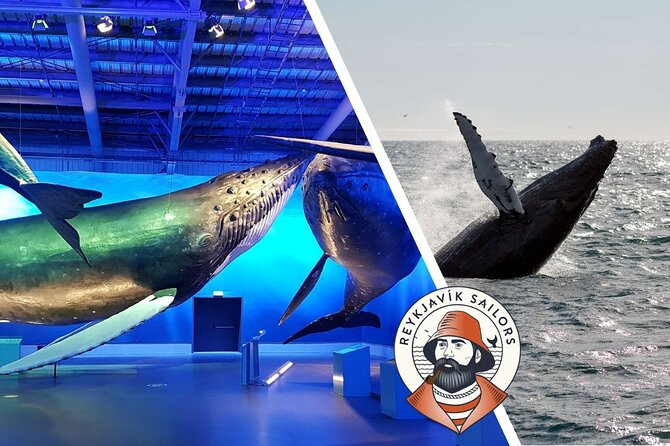 Deluxe Whale Watching and Whales of Iceland Exhibition Combo From Reykjavik - Cancellation Policy