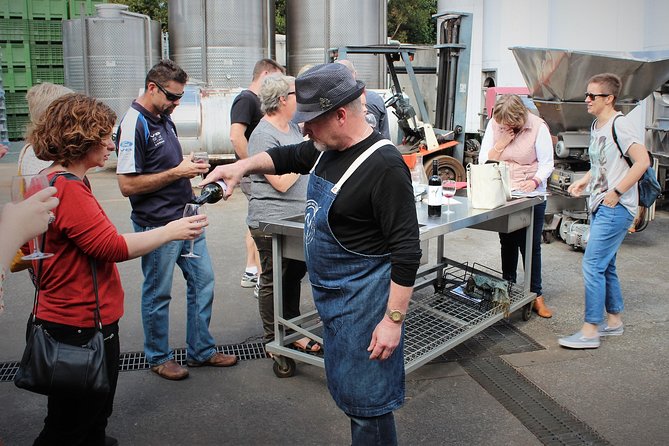 Deluxe Wine Tour to Tamborine Mountain, Includes Two Course Lunch - Tour Policies and Accessibility
