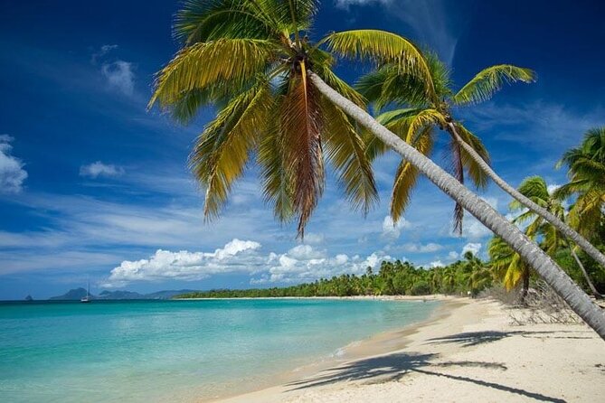 Demi South The Salines & Shopping - About Your Stay