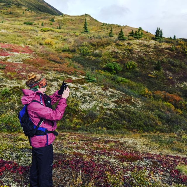 Denali: 5-Hour Guided Wilderness Hiking Tour - Inclusions and Requirements