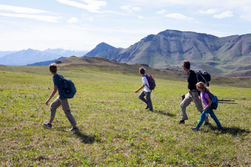 Denali: 5-Hour Guided Wilderness Hiking Tour - Exploring Denalis Landscape