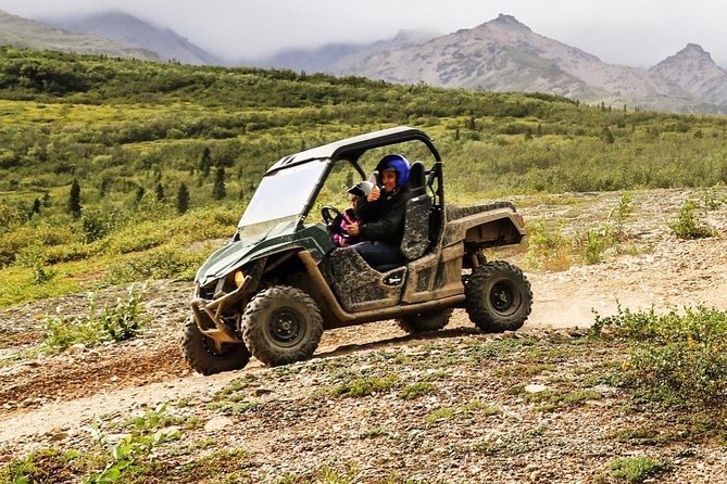 Denali ATV Trailblazer 3.5 Hour Tour - Tour Experience Highlights
