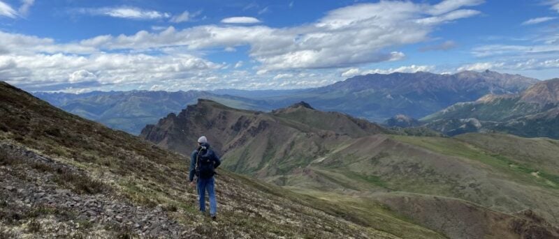 Denali: Denali National Park Walking Tour - Inclusions and Logistics
