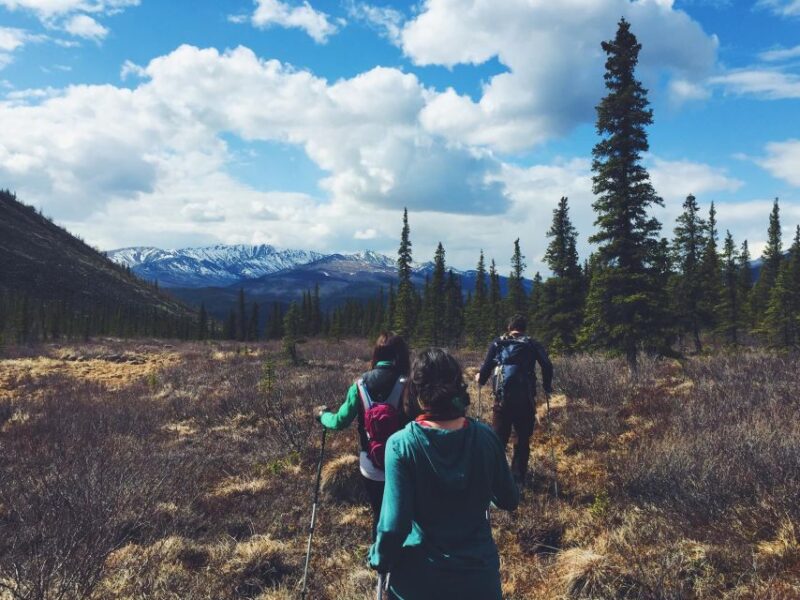 Denali: Denali National Park Walking Tour - Customer Reviews