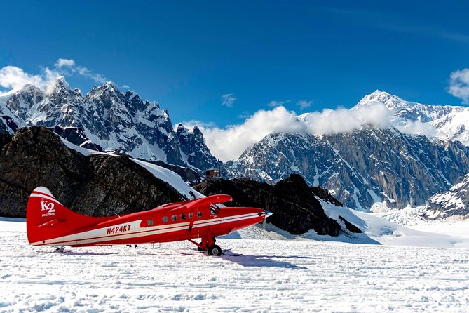 Denali Flyer Flightseeing Tour From Talkeetna - Traveler Testimonials
