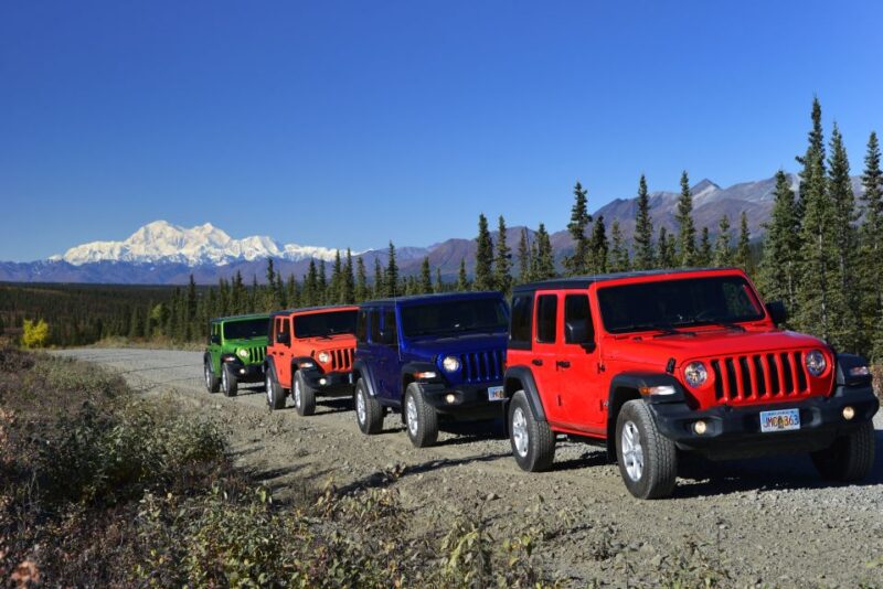 Denali: Highway Jeep Excursion - Transportation and Logistics