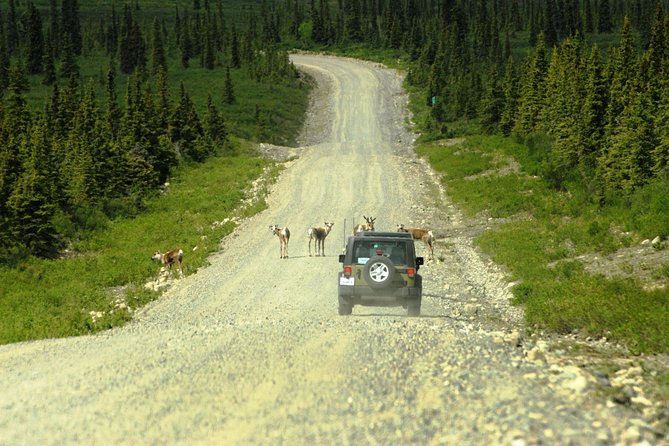 Denali Highway Jeep Excursion - Pickup and Meeting Locations