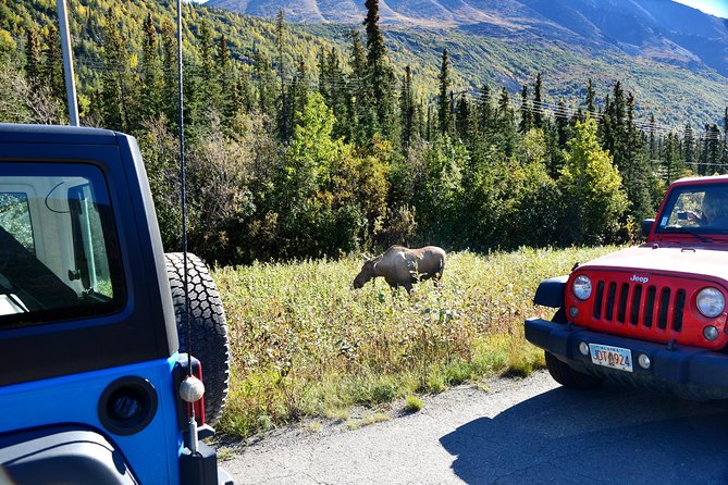 Denali Highway Jeep Excursion - Reviews and Ratings