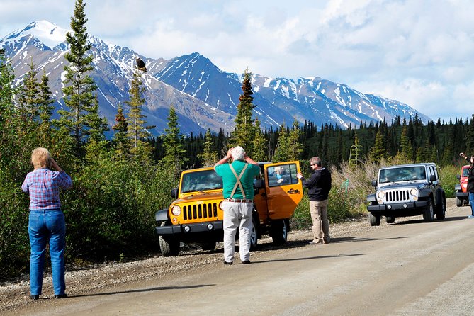 Denali Highway Jeep Excursion - Exploring the Denali Highway