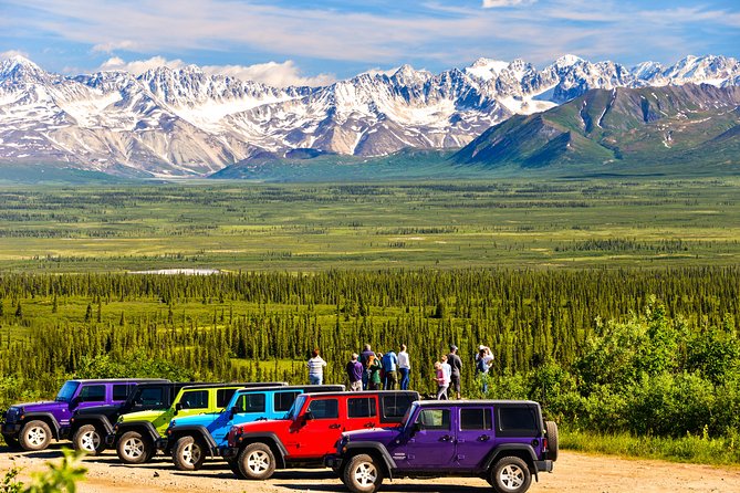 Denali Highway Jeep Excursion - Spotting Wildlife in Alaska