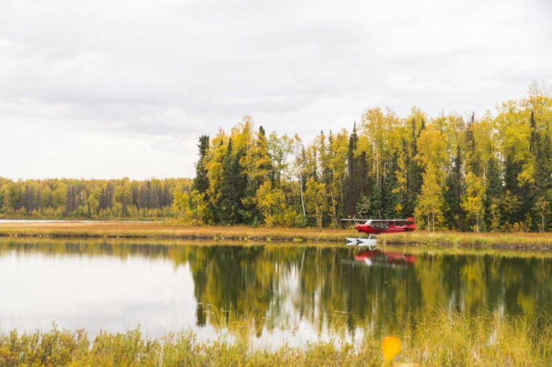 Denali-In-A-Day Sightseeing Tour - Itinerary Highlights