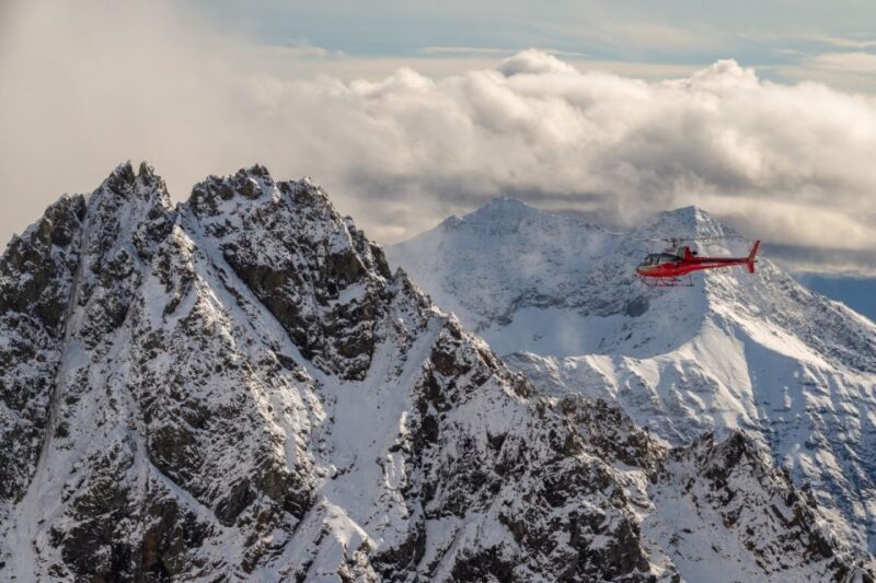 Denali National Park: Helicopter Flight With Glacier Landing - Helicopter Flight Overview