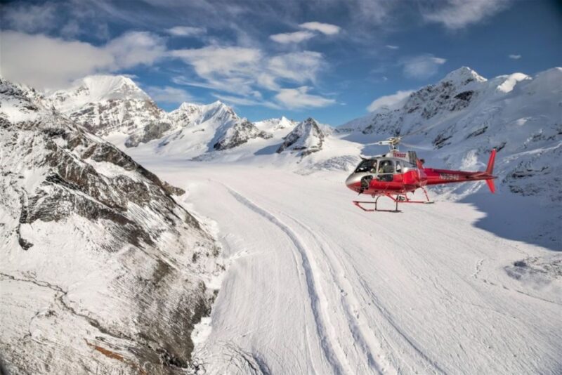 Denali National Park: Helicopter Flight With Glacier Landing - Scenic Aerial Views