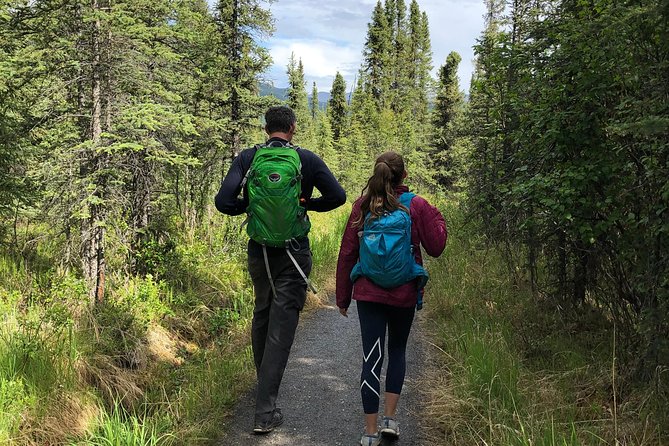 Denali National Park Walking Tour - Trail Difficulty and Terrain