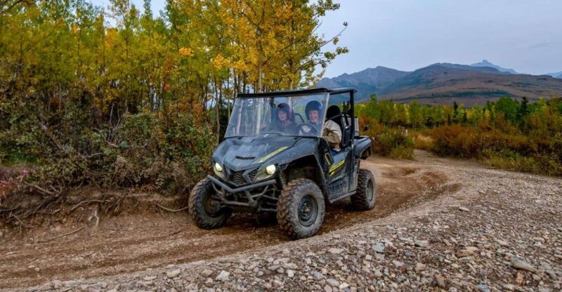 Denali National Park: Wilderness ATV Adventure - ATV Details