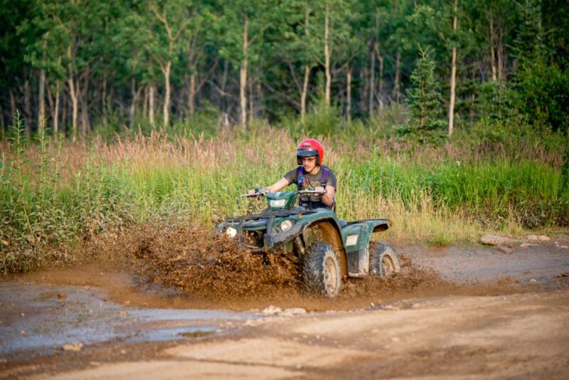 Denali National Park: Wilderness ATV Adventure - Photographic Opportunities