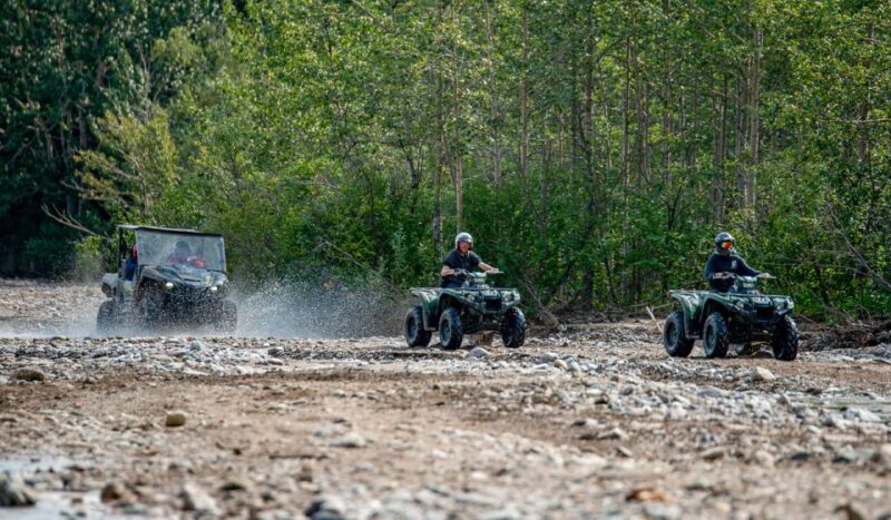 Denali National Park: Wilderness ATV Adventure - Frequently Asked Questions