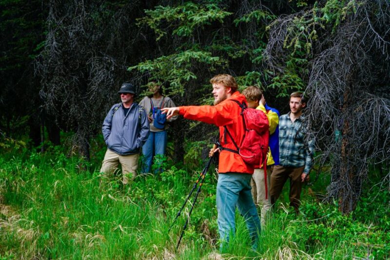 Denali: Naturalist Walking Tour in Denali National Park - Pricing and Details