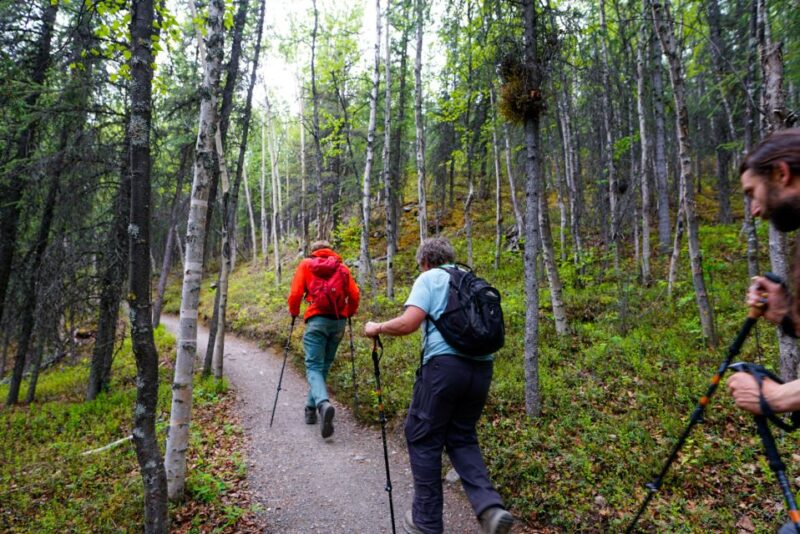 Denali: Naturalist Walking Tour in Denali National Park - Highlights of the Experience