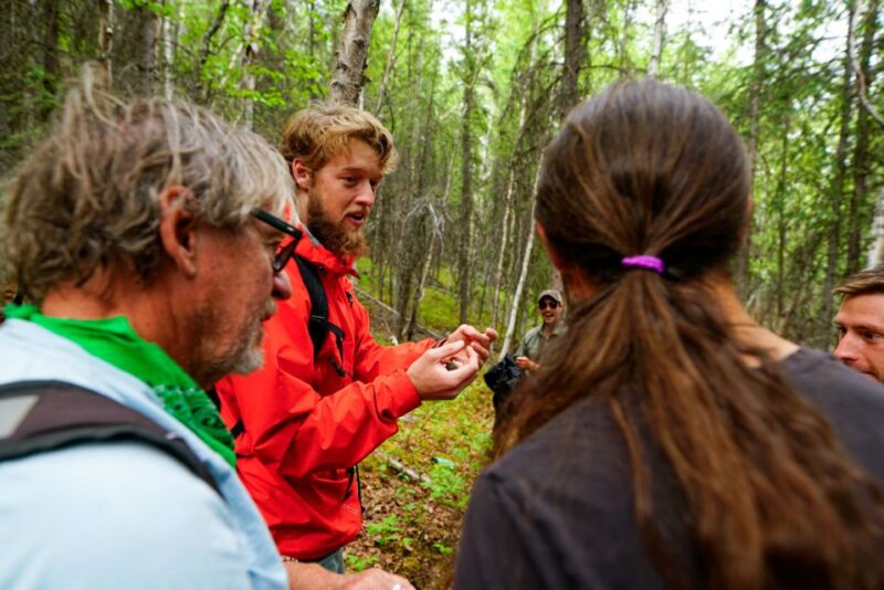 Denali: Naturalist Walking Tour in Denali National Park - Who Can Participate