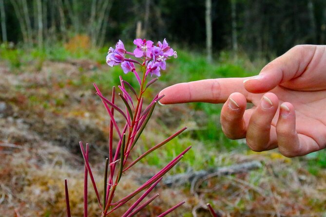Denali Nature Hike - Health and Safety Considerations