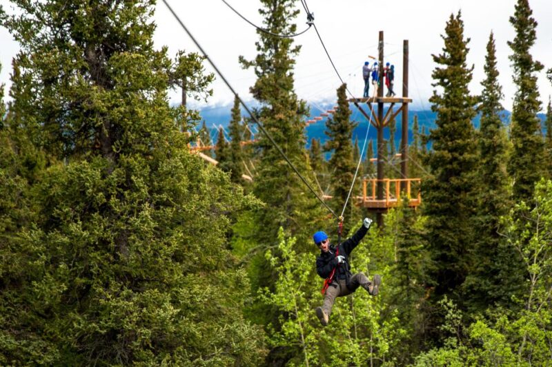 Denali Park Zipline Adventure - Key Points