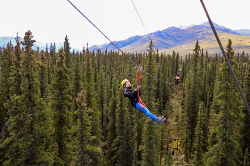 Denali Park Zipline Adventure - Thrilling Zipline Tour Details