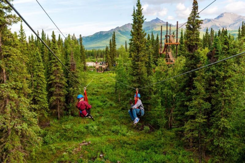 Denali Park Zipline Adventure - Flexible Booking and Pricing Options