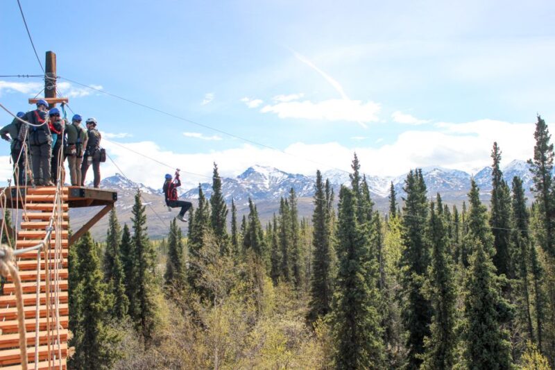 Denali Park Zipline Adventure - Safety and Requirements Overview