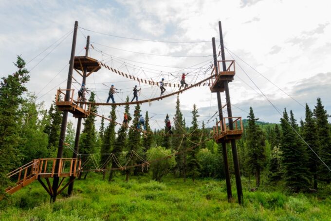 Denali Park Zipline Adventure - Positive Customer Feedback Highlights