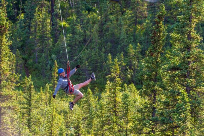 Denali Park Zipline Adventure - Explore the Boreal Forest and Tundra