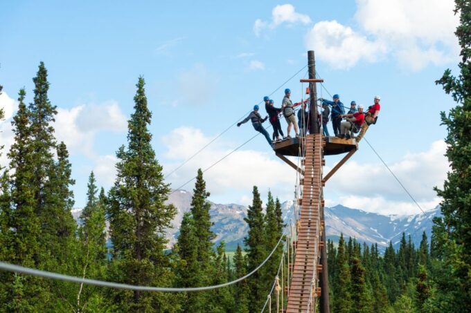 Denali Park Zipline Adventure - Adventure-Packed Activity in Denali