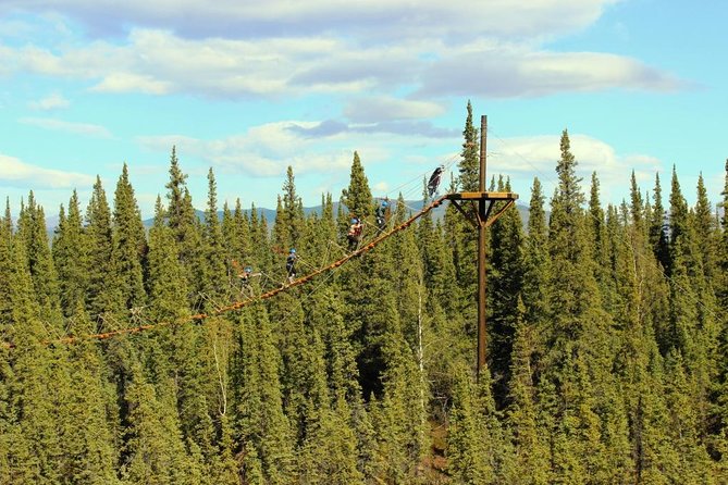 Denali Park Zipline Adventure - What to Expect
