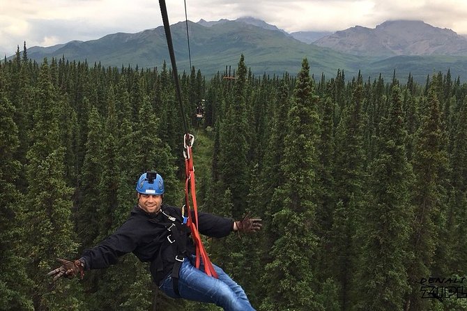 Denali Park Zipline Adventure - Positive Reviews