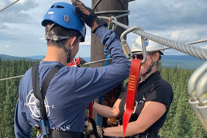 Denali Park Zipline Adventure - Scenic Views
