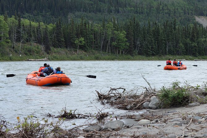 Denali Wilderness Wave - Wildlife Viewing Opportunities