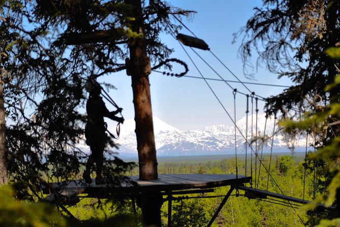 Denali Zipline Tour in Talkeetna, AK - Ratings and Reviews