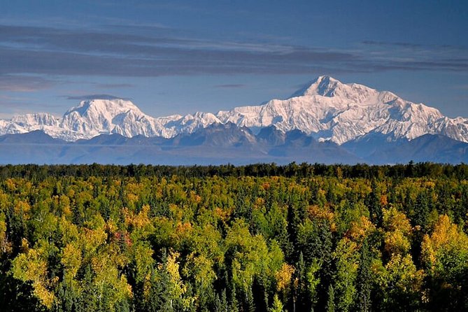 Denali Zipline Tour in Talkeetna, AK - Meeting Point and Directions