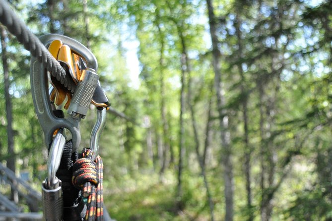 Denali Zipline Tour in Talkeetna, AK - Booking and Cancellation