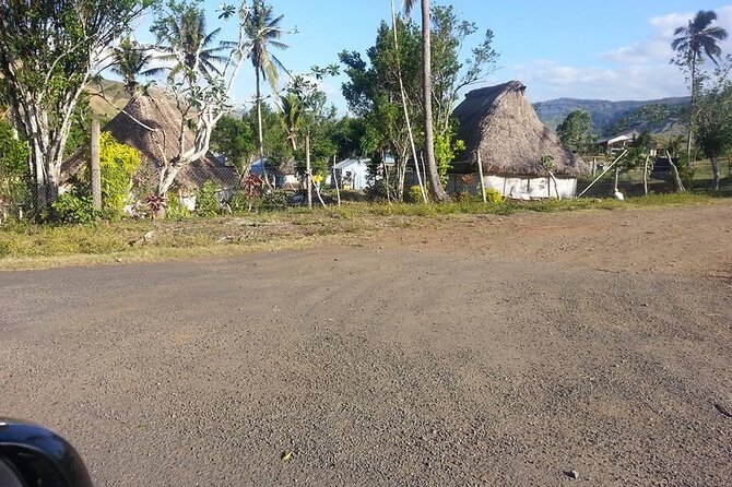 Denarau Hotels to Nadi Airport (Private Departure Transfer) - Accessibility and Participation