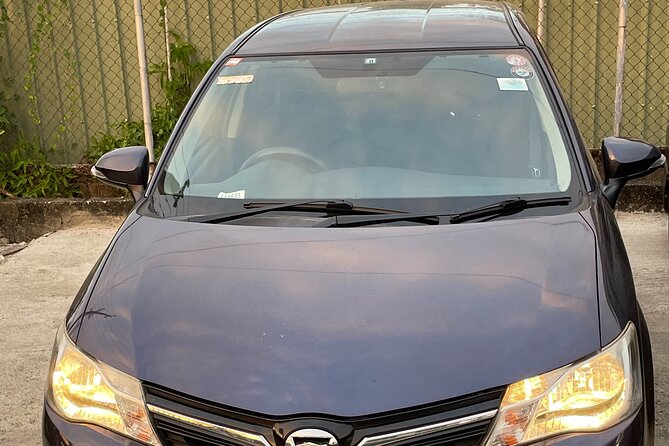 Denarau Hotels to Nadi Airport (Private Transfer) - Customer Testimonials