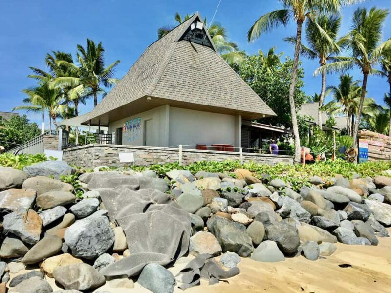 Denarau Island to Natadola Beach Round Trip - Who Will Love This Tour?