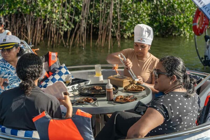 Denarau: Self Drive BBQ eBoat Cruise with Onboard BBQ Fiji - Overview: The Essence of a Green, Fun-Filled Day on the Water
