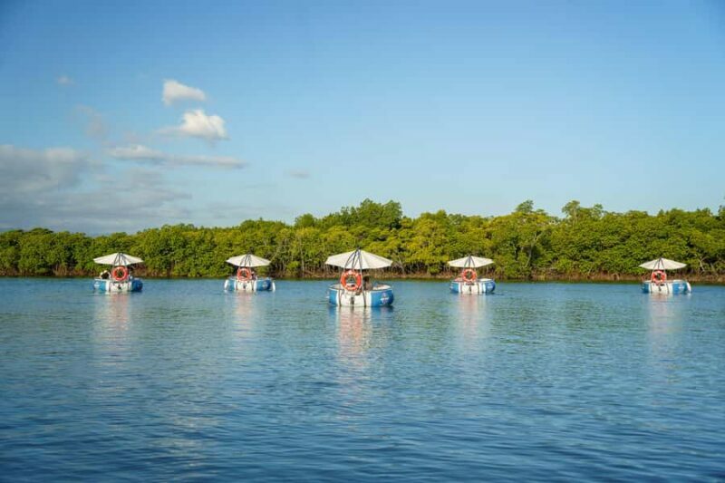 Denarau: Self Drive BBQ eBoat Cruise with Onboard BBQ Fiji - The BBQ: A Flavorful Floating Feast