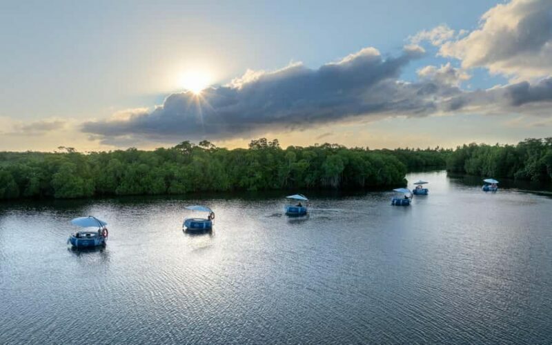 Denarau: Self Drive BBQ eBoat Cruise with Onboard BBQ Fiji - Practical Tips for Booking and Enjoying