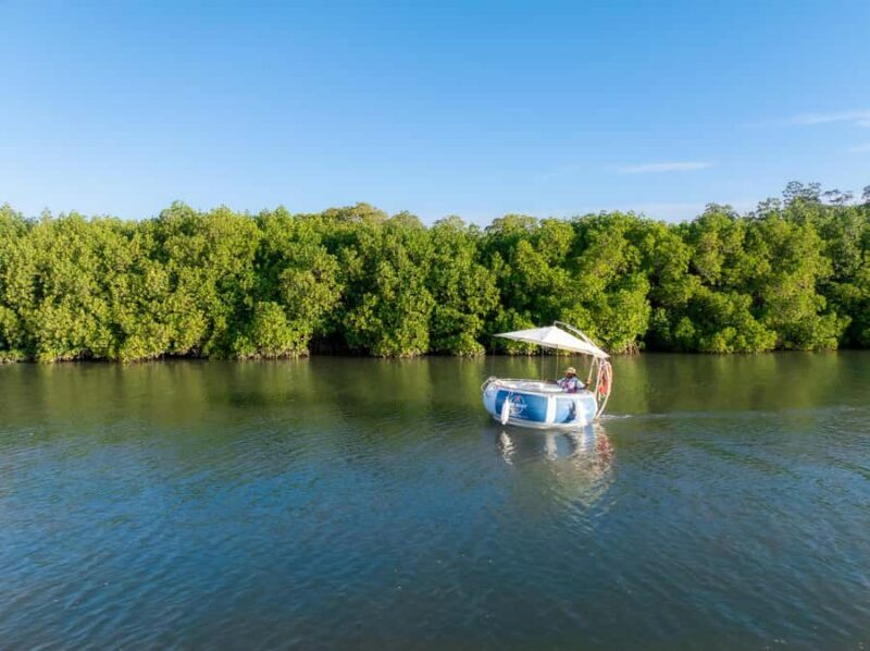 Denarau: Self Drive BBQ eBoat Cruise with Onboard BBQ Fiji - Authentic Reviews and Feedback