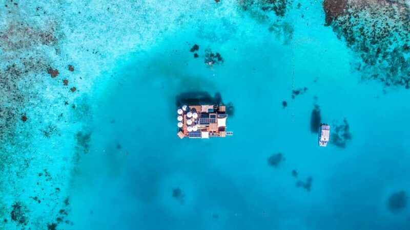 Denarau: Seventh Heaven Floating Bar Day Trip - Introducing the Experience