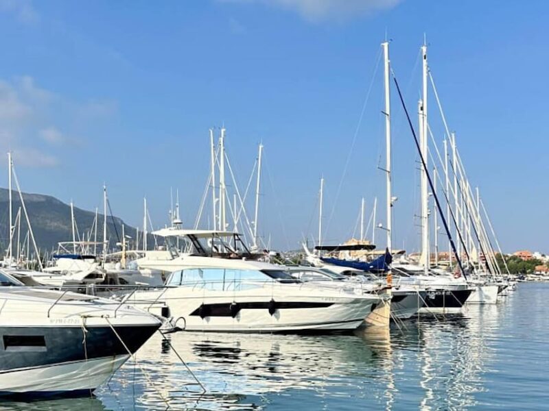 Denia: Guided Walking Tour - Tour Highlights
