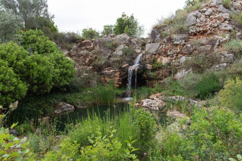 Denia: LAlbarda Garden Entry Ticket - Visitor Experience and Highlights