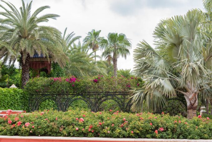 Denia: LAlbarda Garden Entry Ticket - Availability and Timings